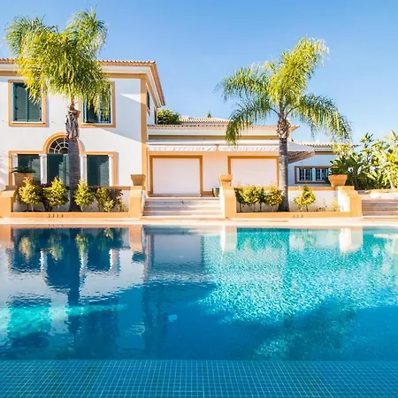 Cypress * 阿尔布费拉