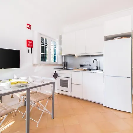 Cypress * 알부페이라