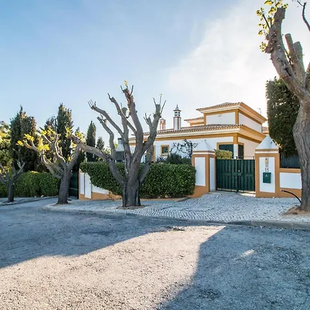 Cypress 알부페이라