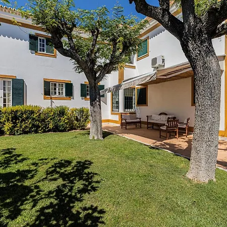 Cypress * 알부페이라